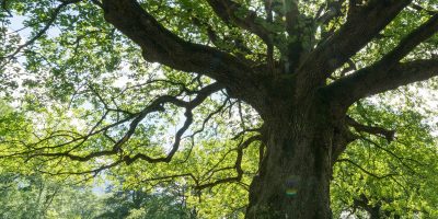 2-0_ABOUT-FEATURE_Landing